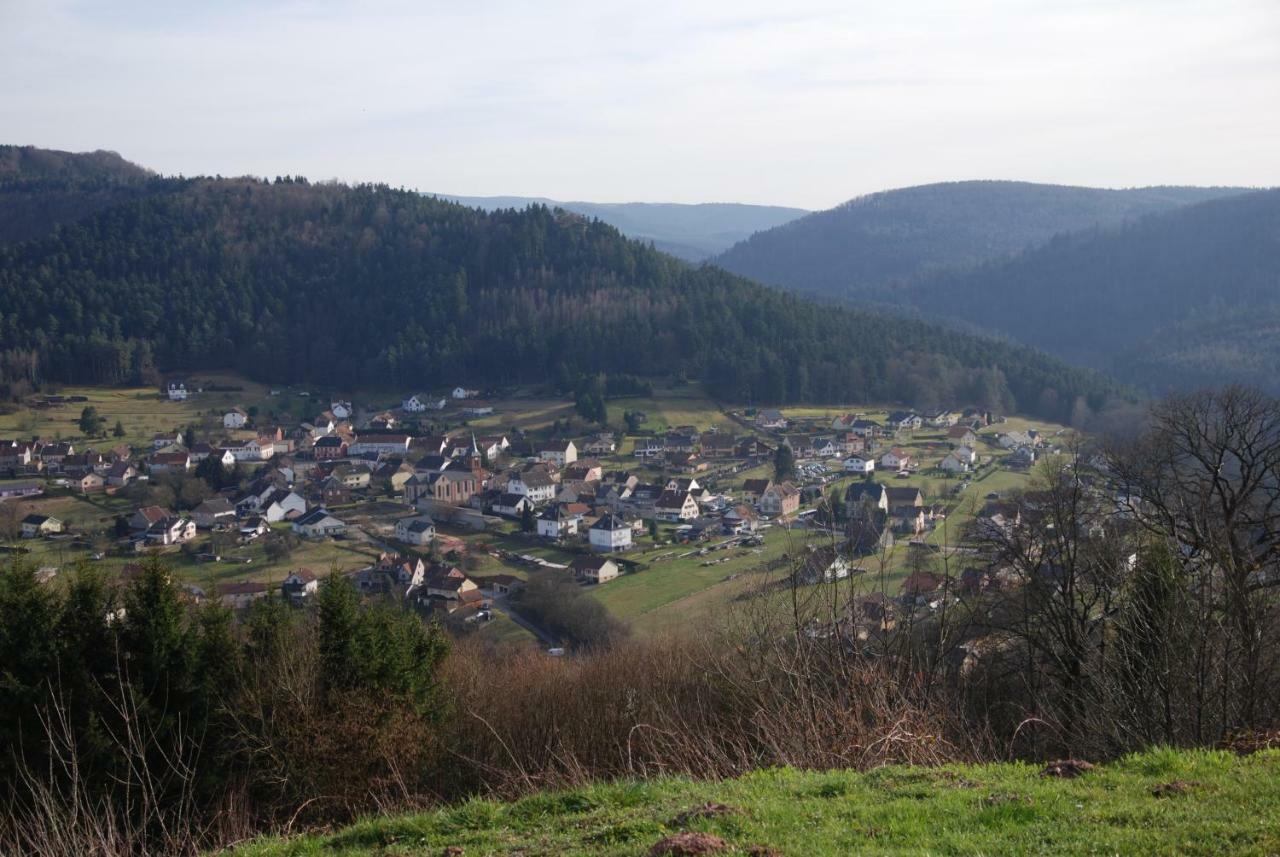 Gite Clos Angelique Haselbourg Exteriör bild